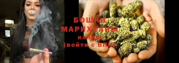 ПСИЛОЦИБИНОВЫЕ ГРИБЫ Дмитров