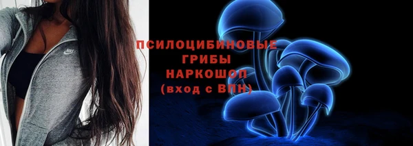 ПСИЛОЦИБИНОВЫЕ ГРИБЫ Дмитров