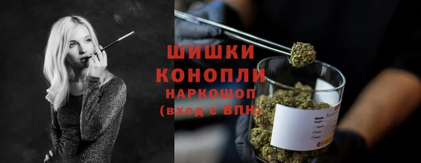 мдпв Дмитровск