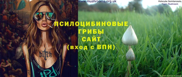 apvp Дмитриев